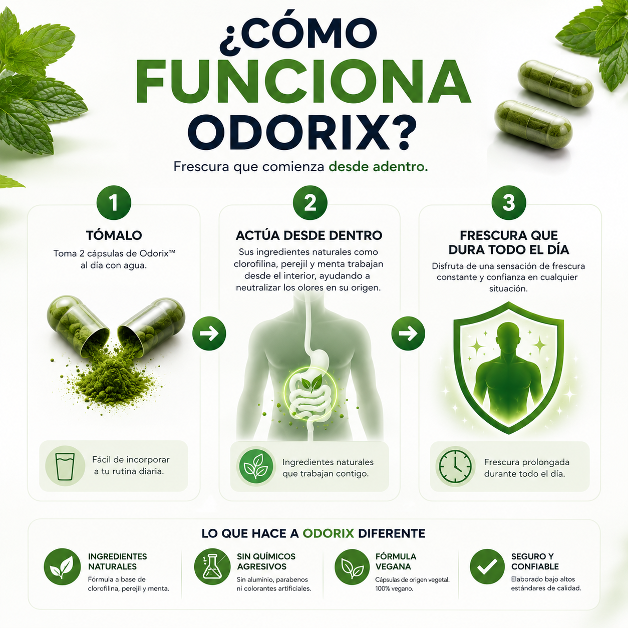 Odorix™ DEOS 30 Capsulas